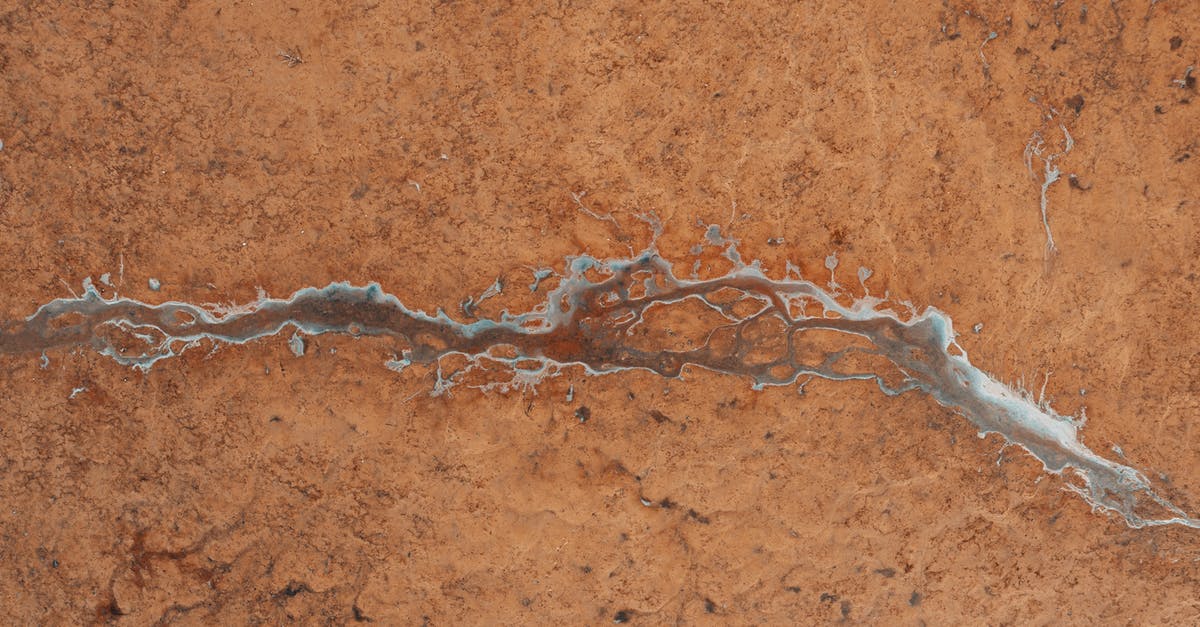 I have a frozen brown bear (roast?) from somewhere in Alaska - Top view of textured background representing icy creek with drops on barren terrain in daylight