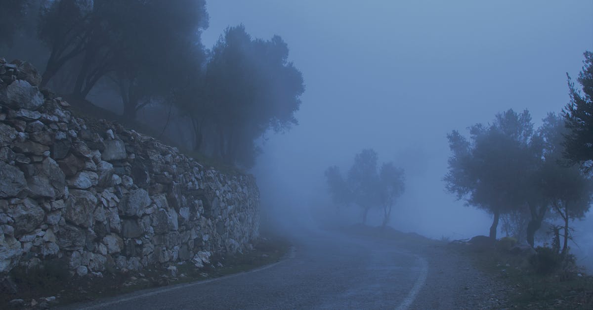 I just made ice cream. Unfortunately, it became gritty in the end result. What is a way to make use out of it? - Road Between Trees and a Cliff Covered With Fog I just made ice cream. Unfortunately, it became gritty in the end result. What is a way to make use out of it? - Road Between Trees and a Cliff Covered With Fog