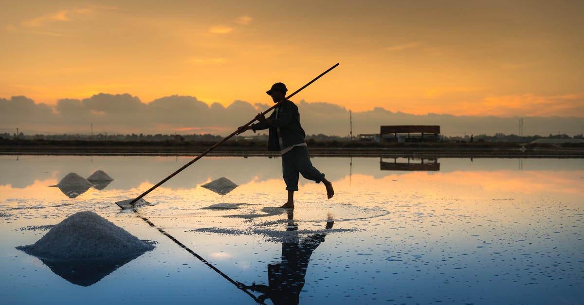 Iodized or sea salt - Man Holding Pole