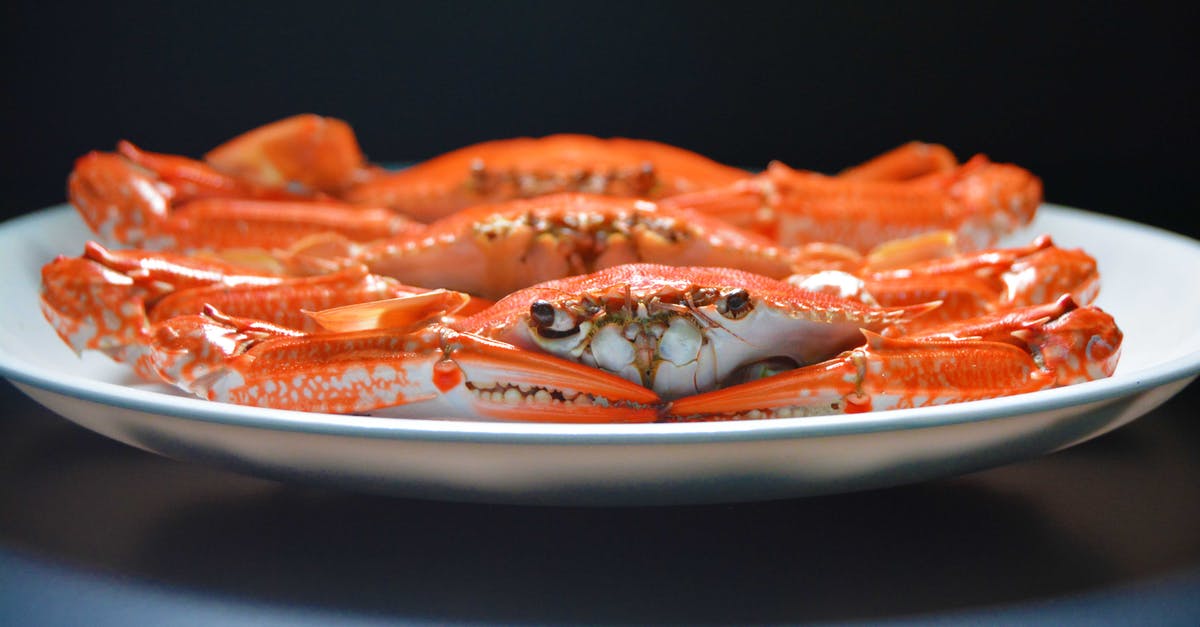 Is a blowtorch suitable for browning/caramelising steamed food? - Photo of Crab on White Ceramic Plate