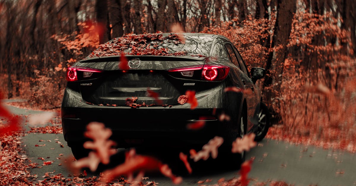 Is a broccoli that already turned yellow anyhow harmful? - Contemporary black car turning on rural road on autumn day