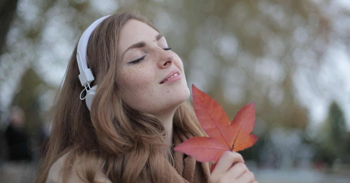Is a maple tree with a squirrel hole in it safe to tap? - Young satisfied woman in headphones with fresh red leaf listening to music with pleasure while lounging in autumn park