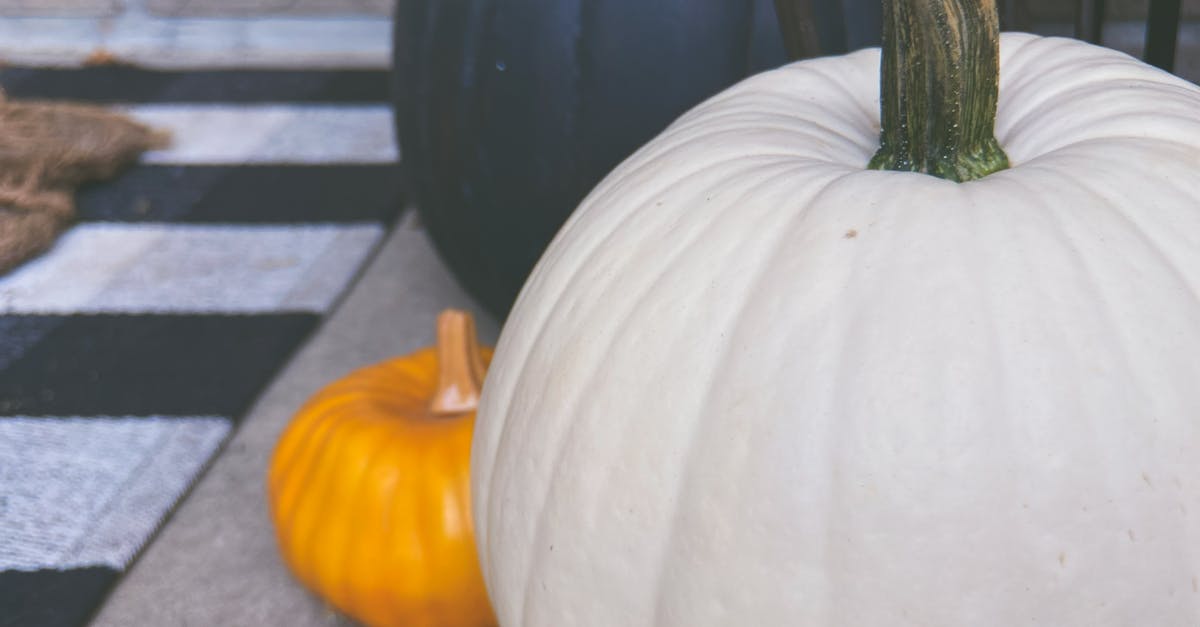 Is Bottle gourd and white pumpkin same? - Close-Up Photo of a White Pumpkin