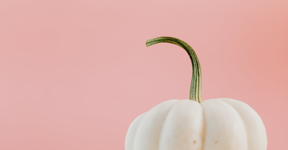 Is Bottle gourd and white pumpkin same? - Close-up Shot of a White Pumpkin