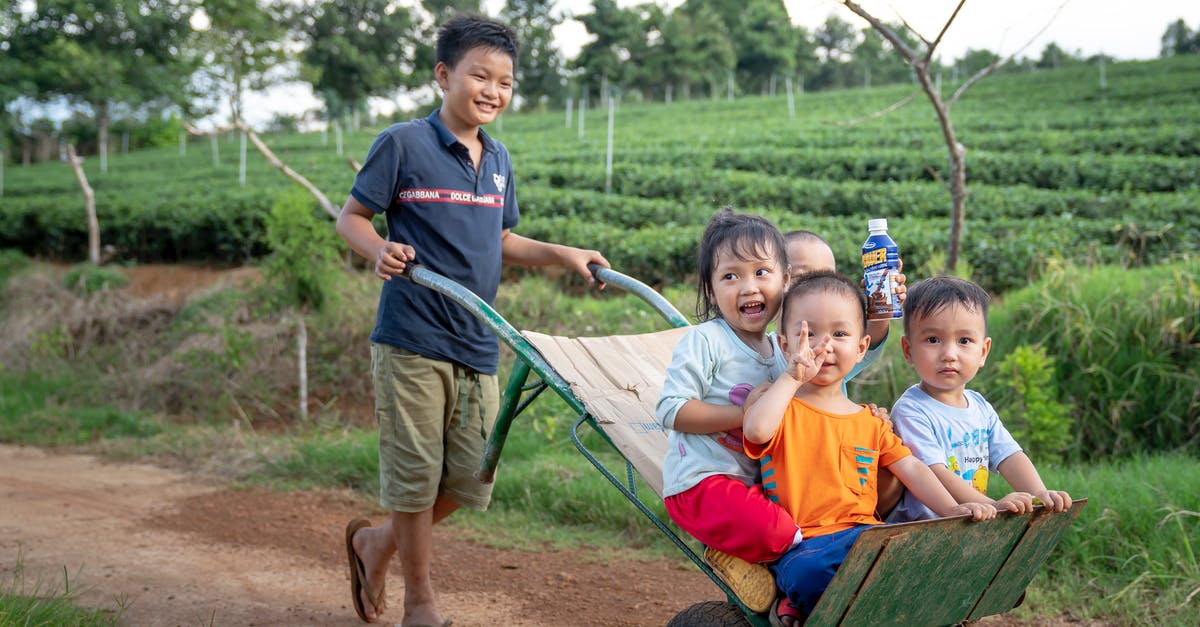 Is butter ever the same after having been melted? - Funny Asian toddlers having fun while brother riding metal wheelbarrow on rural road in green agricultural plantation