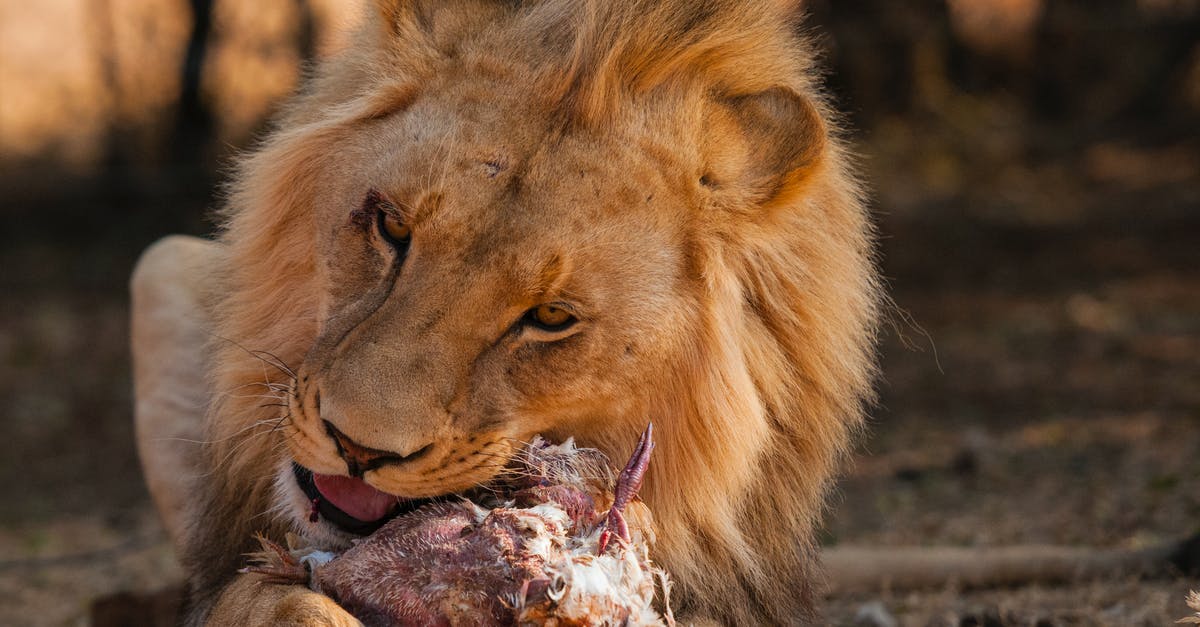 Is eating soap or bleach dangerous? - Lion Eating Flesh