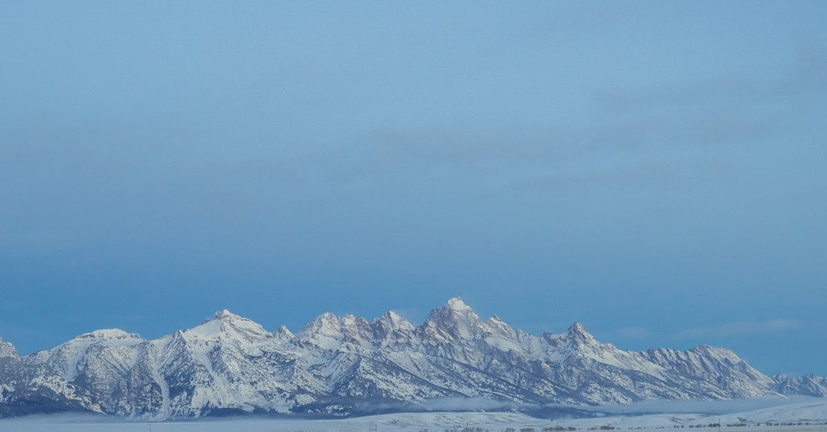 Is free-range veal available in the US? - Grand Tetons in the Winter