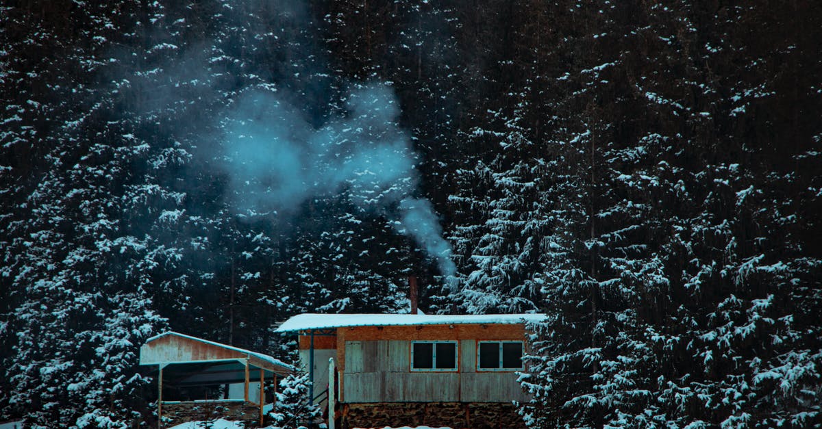 Is it ok to cold smoke steak before freezing? - Photo of Cabin Surrounded by Pine Trees