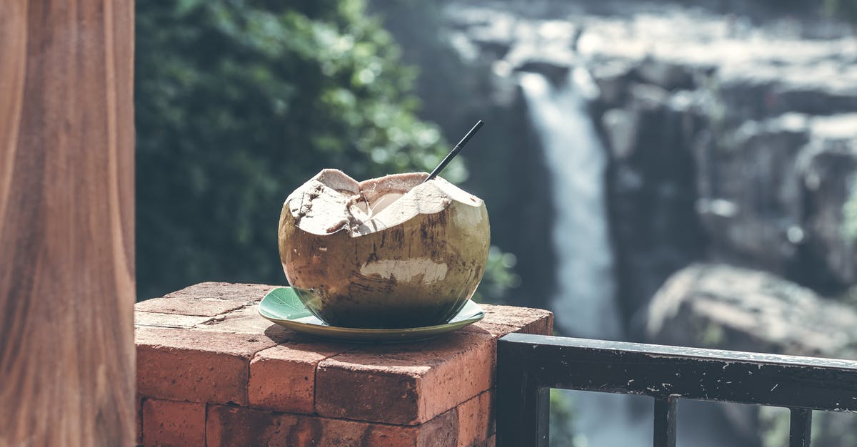 Is it possible to ferment fresh coconut or its water? - Brown Coconut