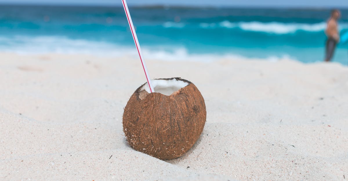 Is it possible to ferment fresh coconut or its water? - Brown Coconut on Sand