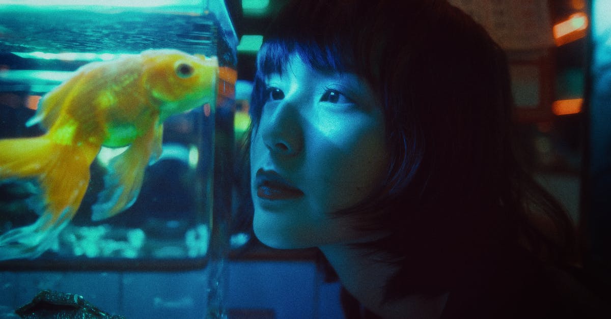 Is it possible to make transparent / translucent pastry? - Side view of curious Asian female looking at goldfish swimming in aquarium in dark room