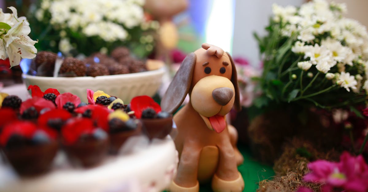 Is it possible to "tidy up" chocolate fondant? - Dog Shape Dessert on Table