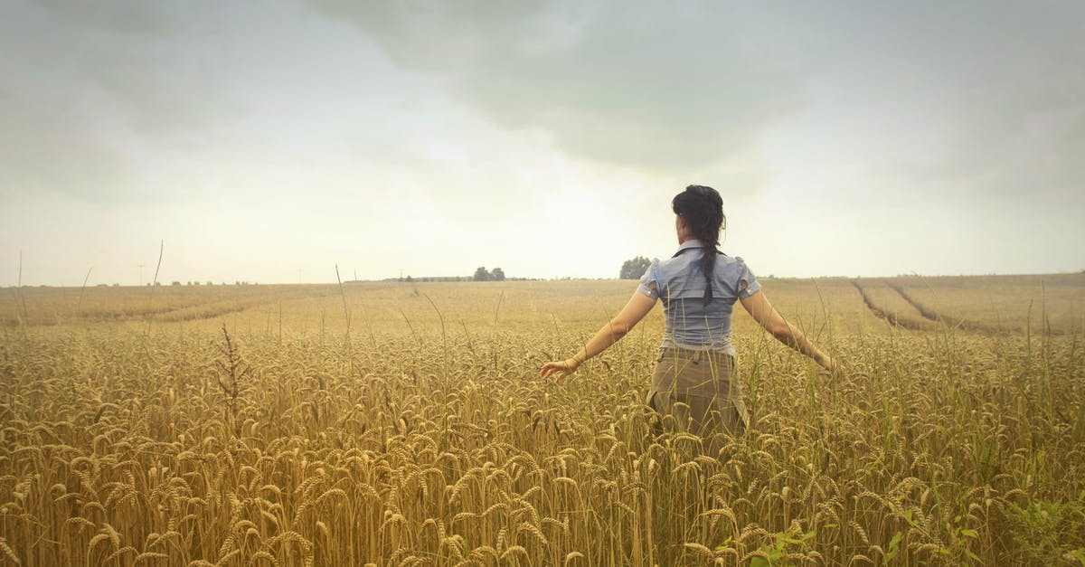 Is it possible to turn Rice Krispies back into rice? - Woman Standing on Rice Field during Cloudy Day