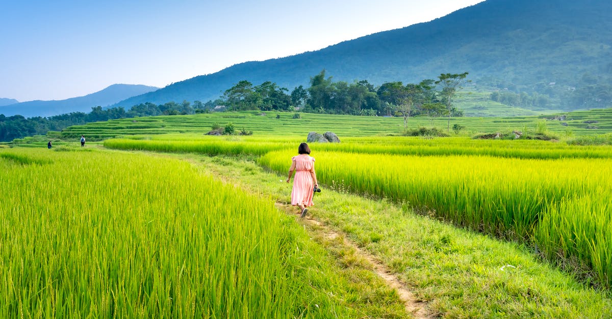 Is it possible to turn Rice Krispies back into rice? - Unrecognizable woman walking on rural path amidst fields