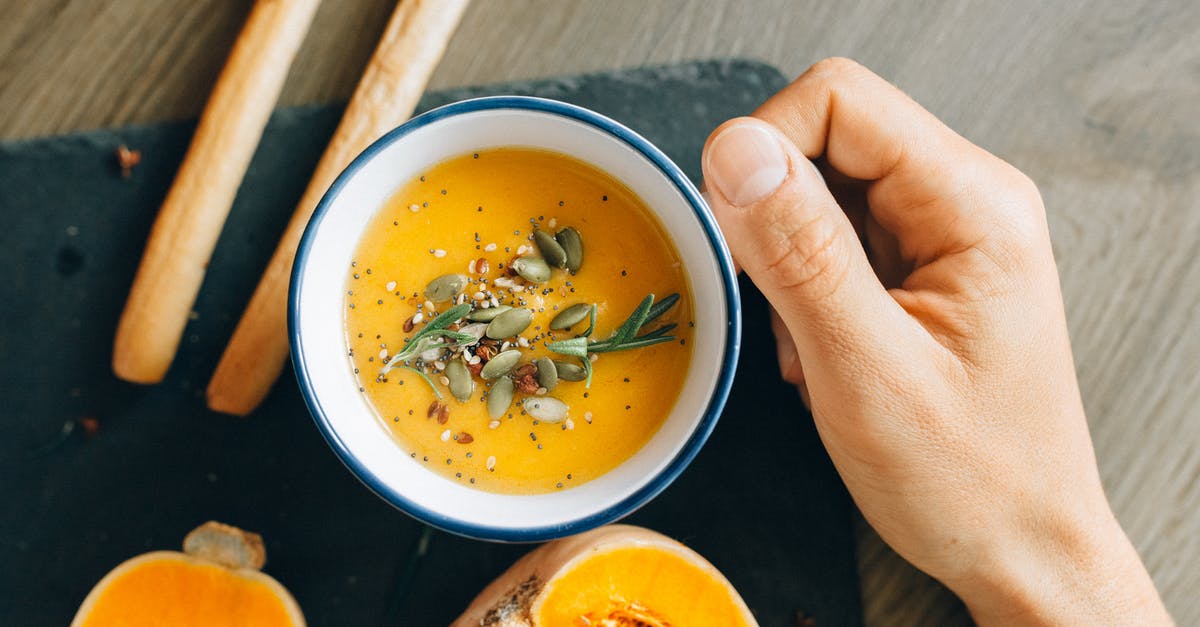 Is it possible to use puree in a siphon whip? - Person Holding White Ceramic Bowl With Soup