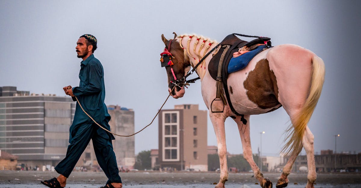 Is it problematic to use the water in which the Pinto beans are soaked, for cooking the Pinto beans? - Bearded man leading purebred horse on wet sand in city Is it problematic to use the water in which the Pinto beans are soaked, for cooking the Pinto beans? - Bearded man leading purebred horse on wet sand in city