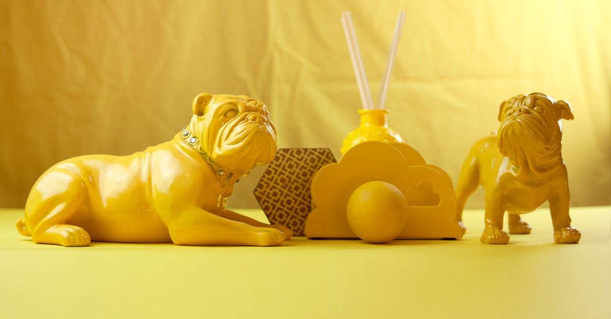 Is it safe to assume that potential pathogens are only present on the surface of animal meats? - Small bright yellow toy bulldogs with collar placed on yellow table with different decorations on light yellow background
