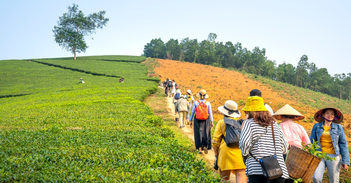 Is it safe to drink Lipton green tea (tea bag) that has a production date of November 2018? - Group of people on path between tea fields