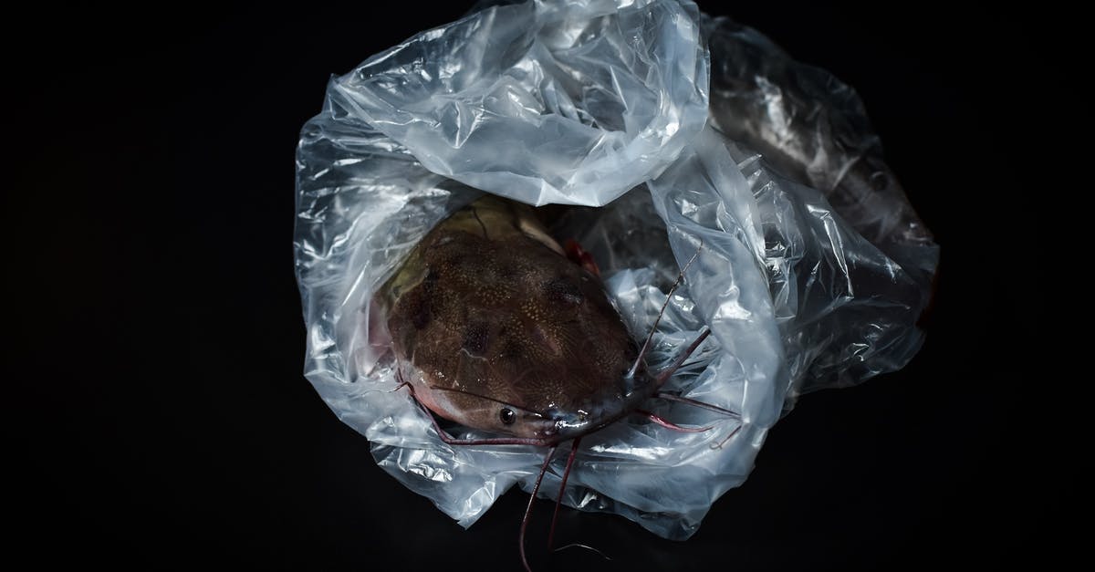 Is it safe to eat freshwater fish raw? - A Catfish Inside A Plastic Bag
