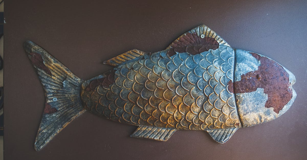 Is it safe to eat freshwater fish raw? - Free stock photo of animal, aquarium, art