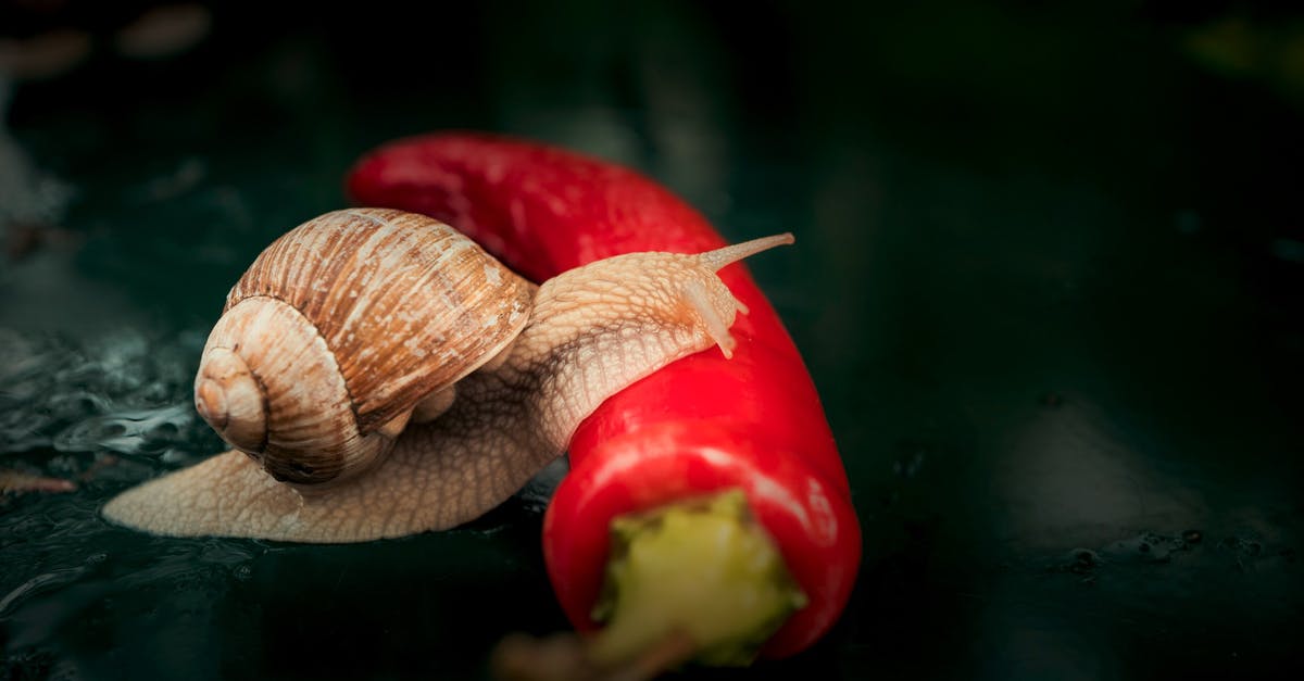 Is it safe to mix vegetable and animal fats? [closed] - Brown Snail Crawling on Red Chili