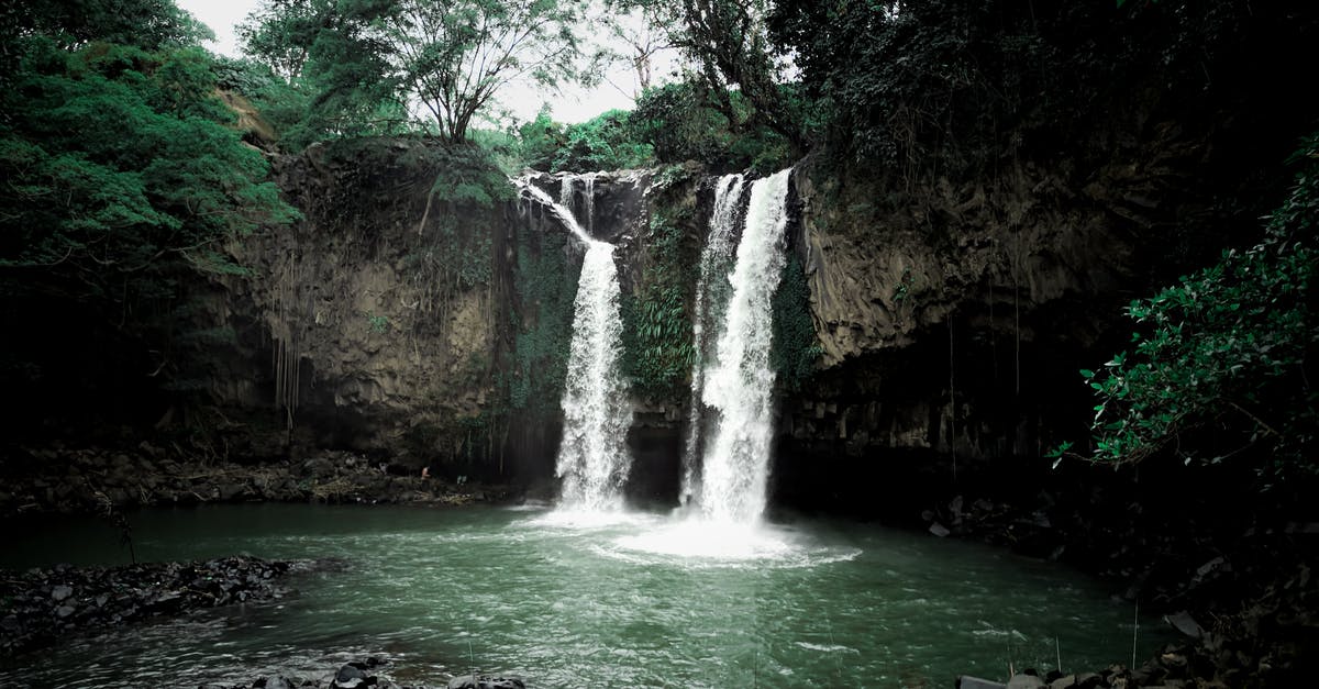 Is it safe to reuse water used to steam corn? - Waterfalls in the Middle of the Forest Is it safe to reuse water used to steam corn? - Waterfalls in the Middle of the Forest