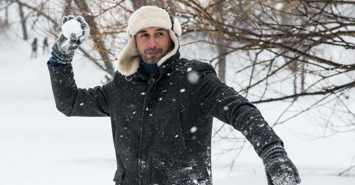 Is it safe to throw frozen meat in marinade? - Man Holding Snowball