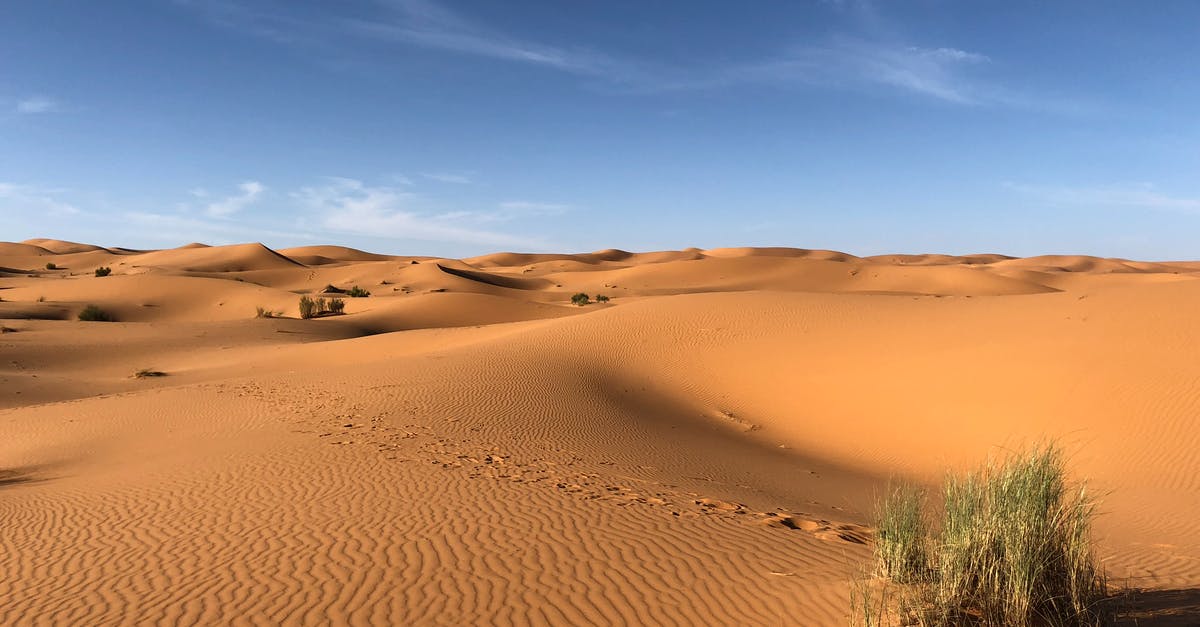 Is Microwaving considered dry heat or moist heat and why? - Green Grasses on Sahara Desert