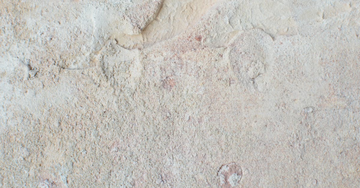 Is my dry aged beef spoiled? - From above of abstract backdrop of old wall with beige stucco and uneven surface with dense texture