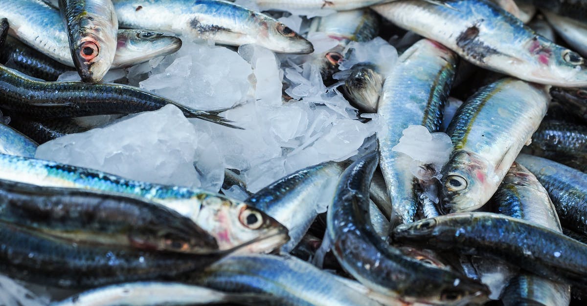 Is refrigerated seafood fresher than seafood displayed on ice but uncovered? - Fresh Fishes