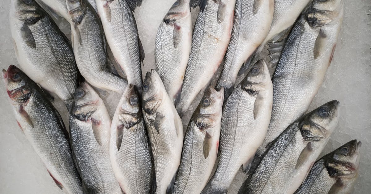 Is refrigerated seafood fresher than seafood displayed on ice but uncovered? - Bunch of Grey Fish