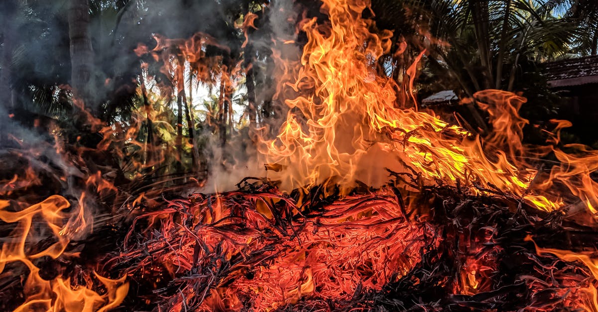 Is smoking with 'barked' wood dangerous? - Orange Fire