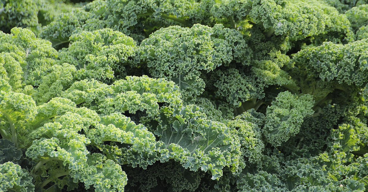 Is sweet-tasting raw kale normal? - Green Plant