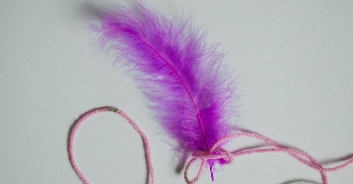 Is Tamarind String Edible? [closed] - Purple Feather on White Surface