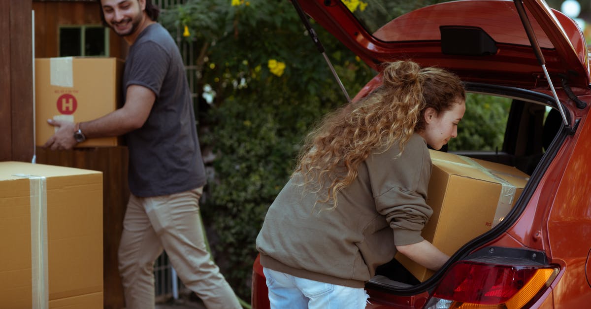 Is the grey stuff the thing we make fond out of - Young woman with curly hair getting carton box out from trunk of automobile while cheerful ethnic man carrying box into new home in suburb or countryside area