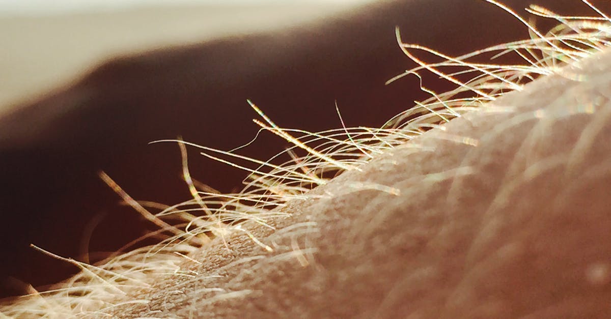 Is the hairy skin below a chestnut’s tough skin poisonous? - Micro Photography of Human Skin