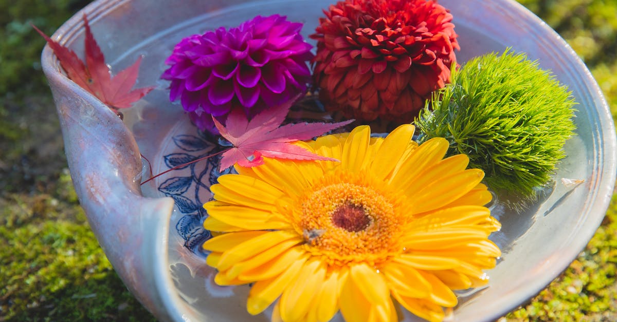 Is there a big difference between Yellow and Yukon Gold potatoes? - Different fresh flowers in water in vase