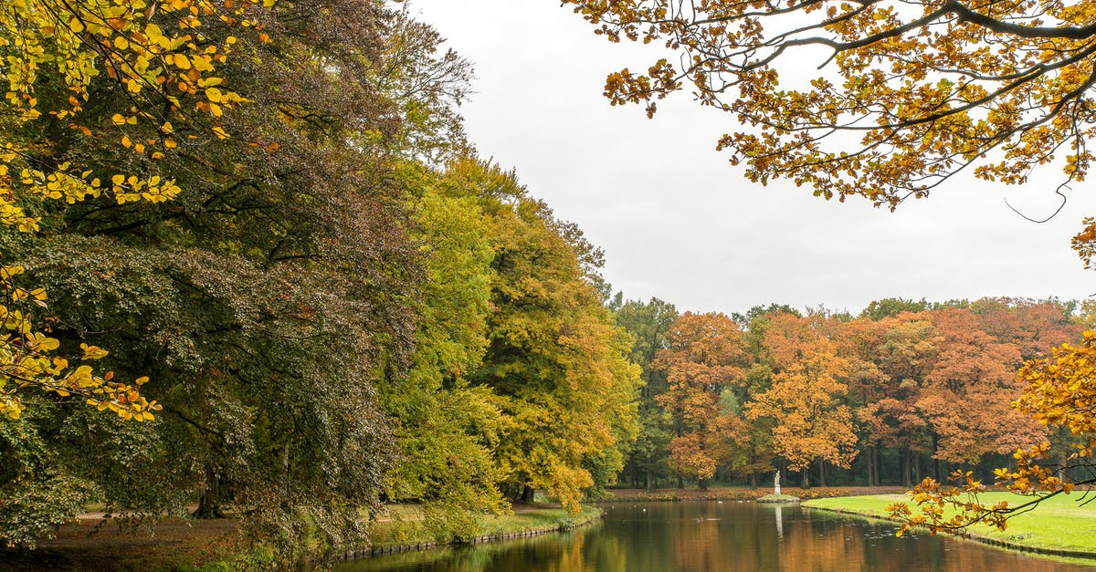 Is there a big difference between Yellow and Yukon Gold potatoes? - Pond in Park in Autumn