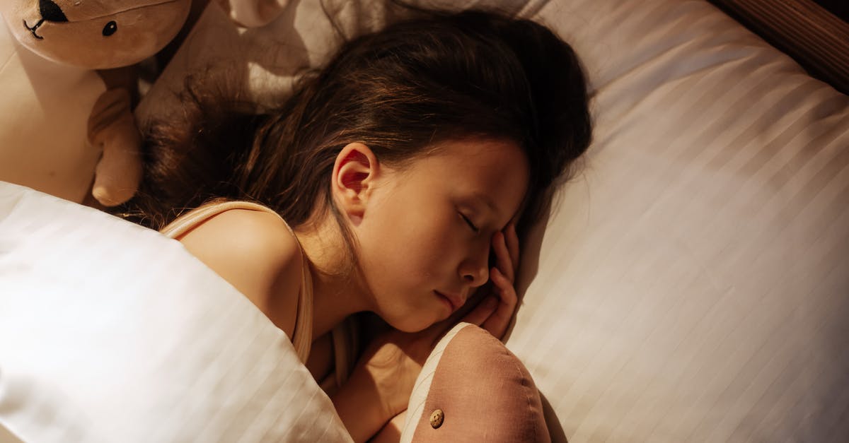 Is there a difference between 'Saucisson Sec' and 'Salami'? - Girl Sleeping in Bed Between Cuddling Toys