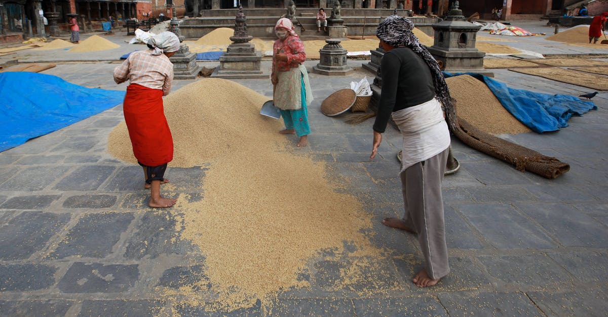 Is there a method for desalinating bacon? - People doing Manual straining of Grains 