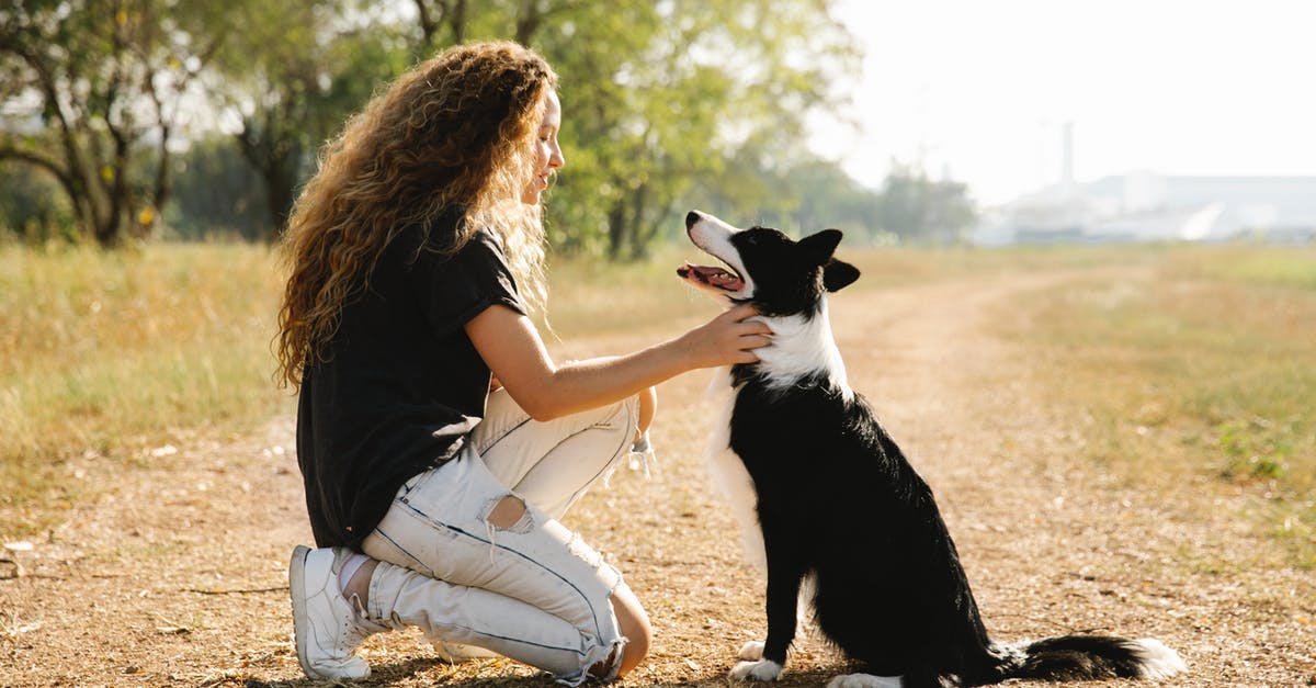 Is there a way predict proving times of dough (without experience)? - Full body side view of female owner caressing cute black Border Collie on rural road in countryside on summer day