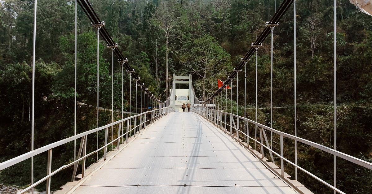 Is there a way to dilute oil? - Suspension Bridge Leading to Forest