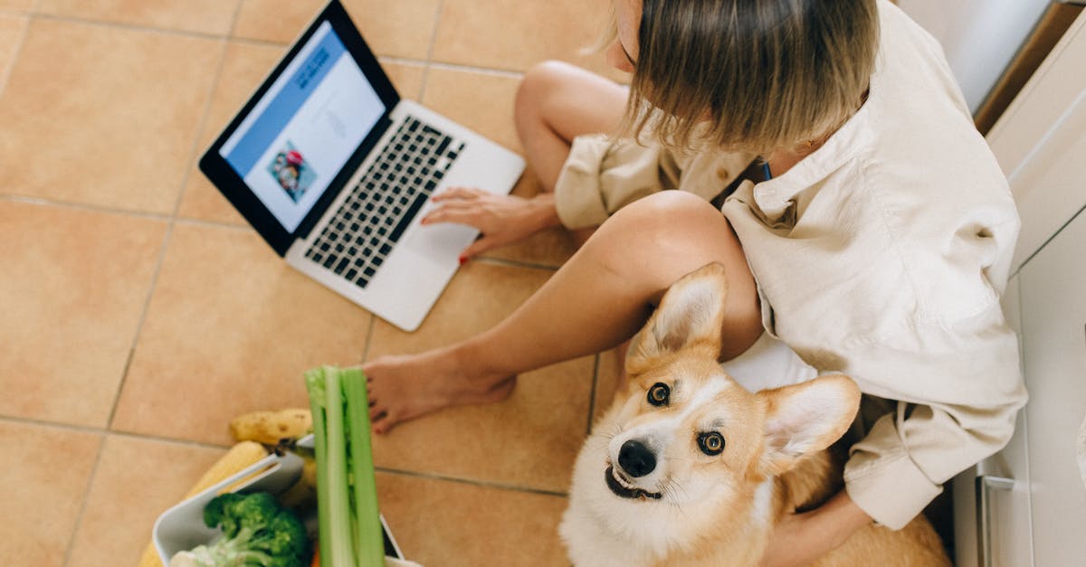 Is there a website on how to store specific foods? - A Cute Dog Looking Up while Sitting Beside a Person Using Laptop