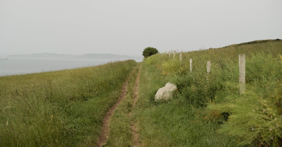 Is there an ultimate way to make a rotatable pizza stone? - Narrow path in green field