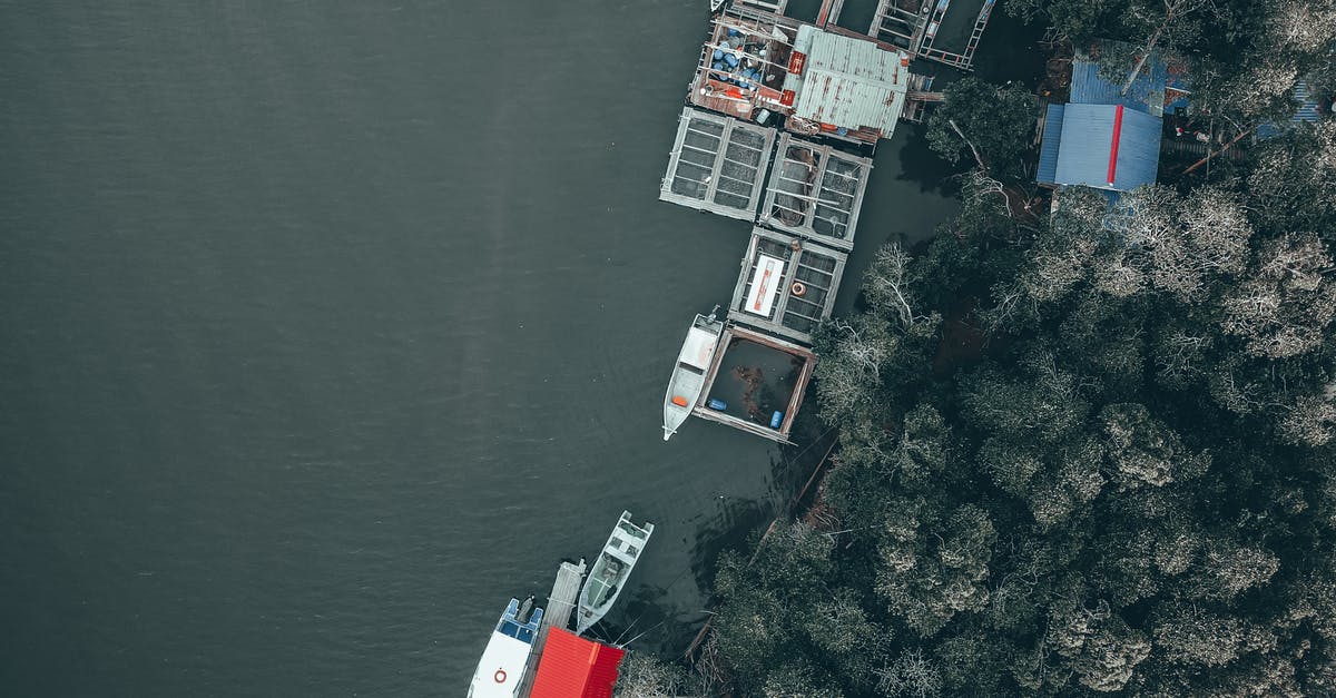 Is there any difference in nutritional value between a wild caught fish and farmed fish? - Drone view of fishing boats and cages for seafood farming on shore of river covered with dense woods Is there any difference in nutritional value between a wild caught fish and farmed fish? - Drone view of fishing boats and cages for seafood farming on shore of river covered with dense woods