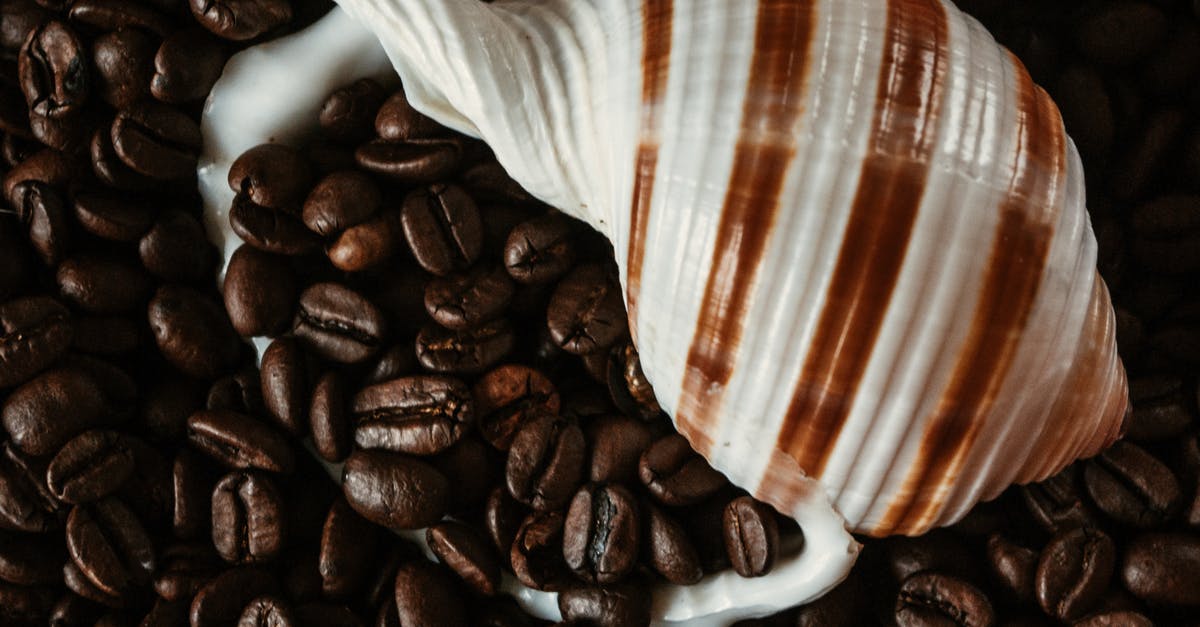 Is there any food ingredient that tastes like diesel smells? - Seashell placed among coffee beans