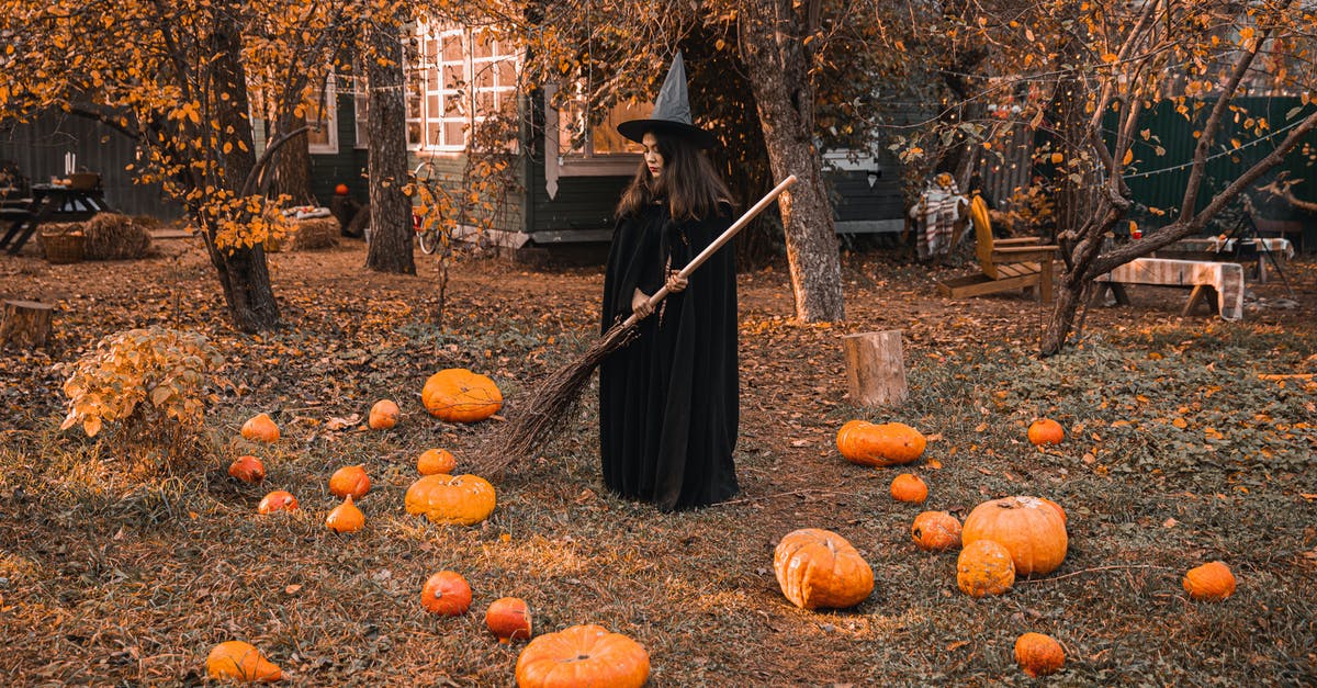 Is there any way to make jack-o-lantern pumpkins worth eating? - Woman in Black Dress Standing on Brown Dried Leaves