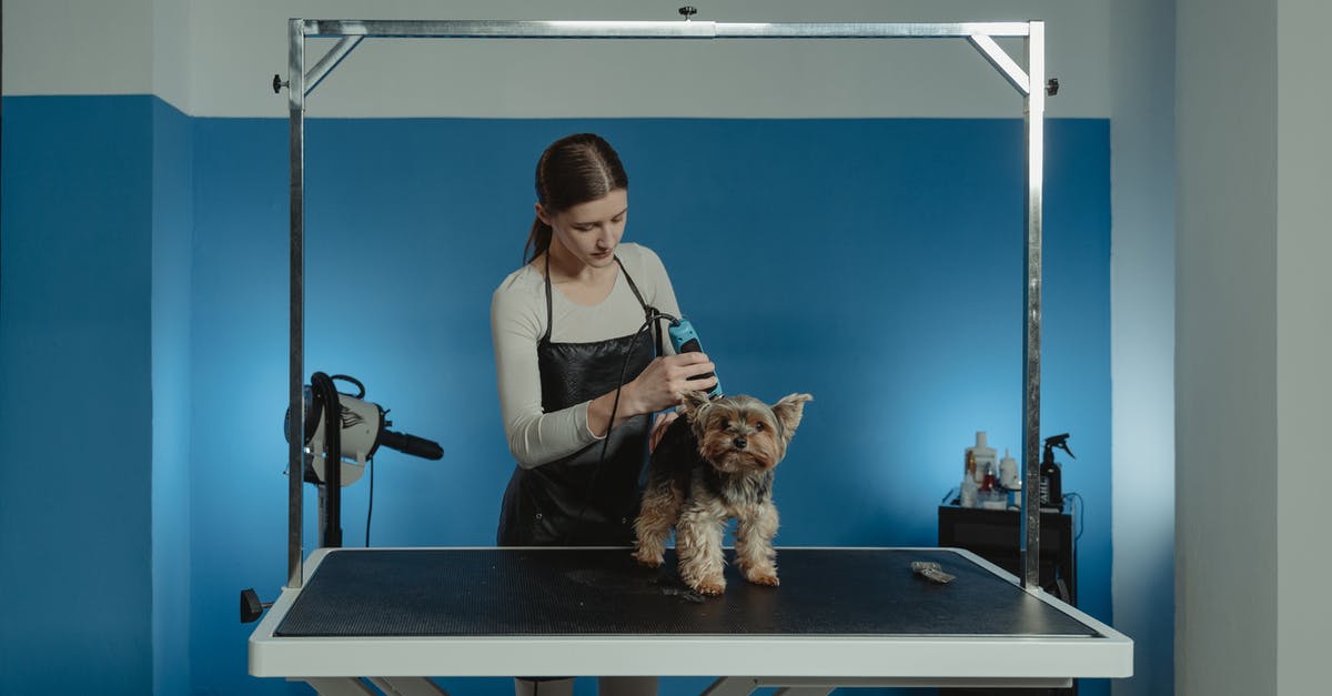 Is there anything gained by butterfly cutting a hot dog for grilling? - Terrier Dog being Groomed by a Professional Groomer