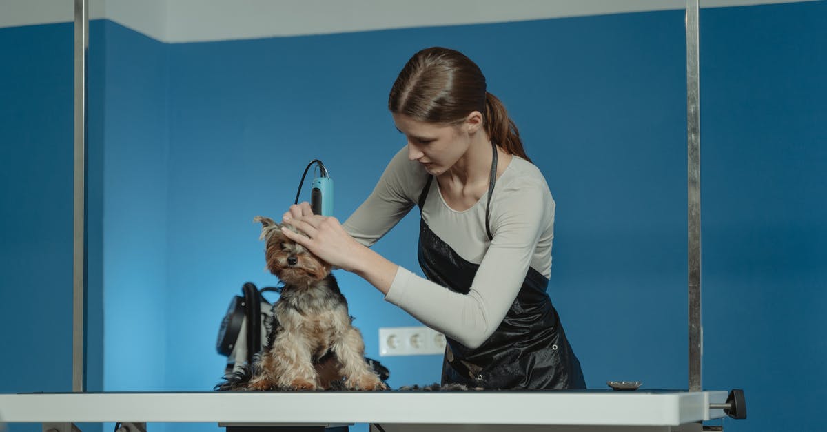 Is there anything gained by butterfly cutting a hot dog for grilling? - Terrier Dog being Groomed by a Professional Groomer