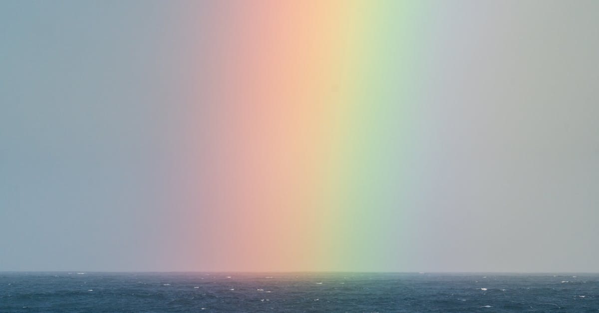 Is there anything special about "homogenized" shortening? - Rainbow on sky over sea
